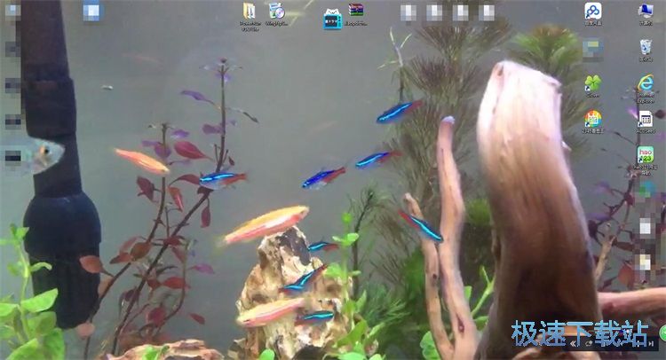 ���d�O�ñڼ��̳�