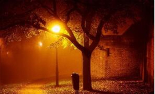 �D����ý�w����