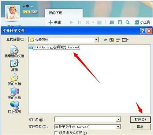 �������BT�N���ļ�torrent?ʹ��BT�N�ӵķ����̳�