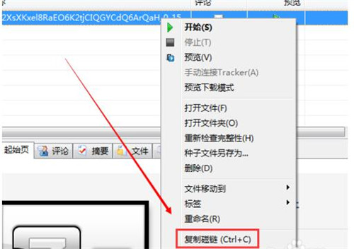 �������BT�N���ļ�torrent?ʹ��BT�N�ӵķ����̳�