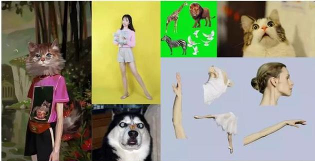 �D���R������D