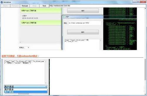 miniblink���dʹ�ý̌W