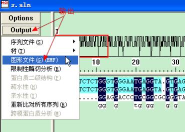 clustal���бȌ��̳�