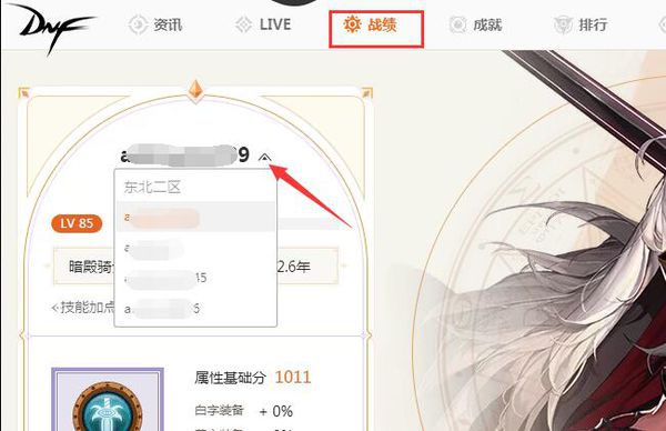 DNFȫ����ɫ��ԃ