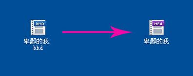 bhd��ʲô��ʽ��B