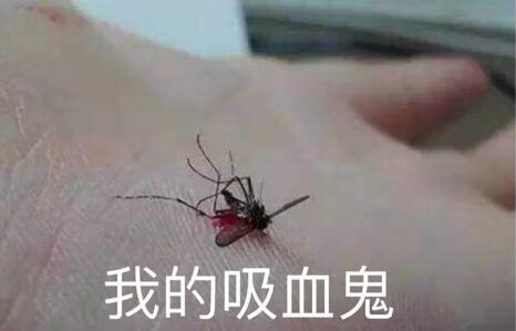 �D��������wλ�����o֮��IG vs FPX2