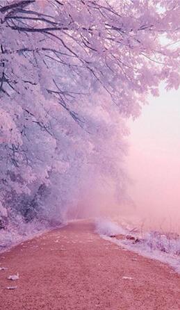 �D������iPhone����