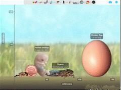 �D���������d��APP���L�@��