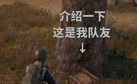 �D���^�������Α��еĿ���I��