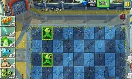 �D��ֲ����(zh��n)��ʬ3����