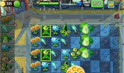 �D��ֲ����(zh��n)��ʬ3����