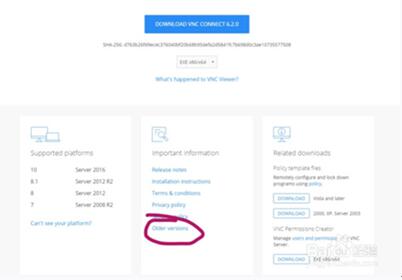 �D��VNC�İ��b�O��