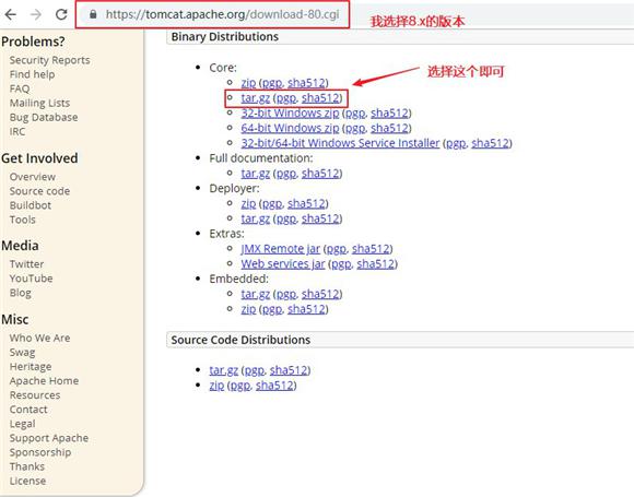 �D����jenkins�����h�̷�����