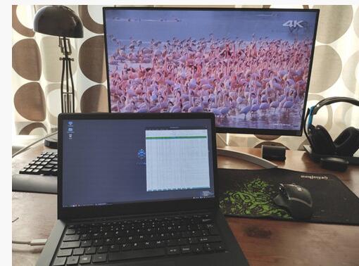 �D��14Ӣ��1080p��Pinebook Pro�ϾW�� ��200��Ԫ