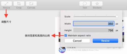 �D���W������� GIF �D��Į��|���w�e��������֮�g���ֱ��^�õ�ƽ��