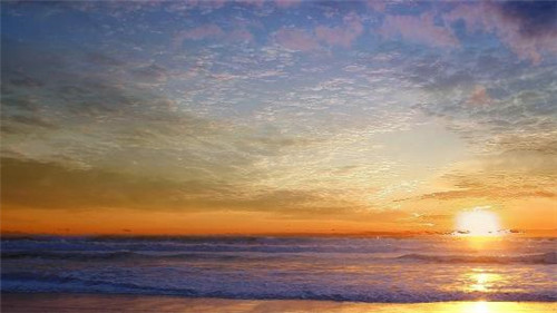 �D�����I��ҌW�����g��������P�̳�