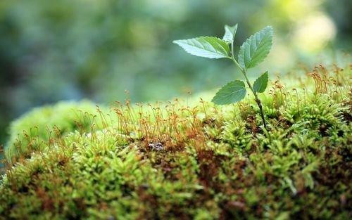 �D������ϵwin7�wϵ�Pӛ��������X��Ļ�Wҫ�ʬF�W���Ġ�r��ô�k��