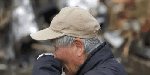 �D���_�Ŷ�̥��20����B��̥��ͥ���R���y�}��