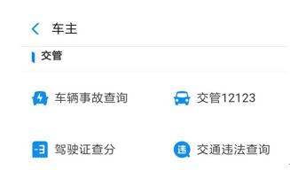 �D��֧�����е��@�����܌���ָ�����w�ǣ�