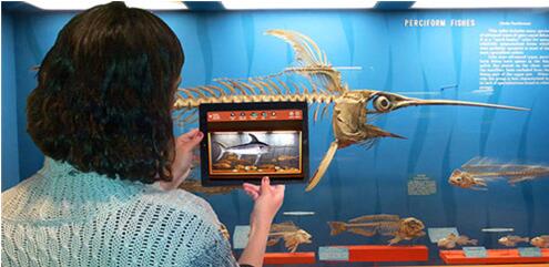 �D��AR���P�I���g