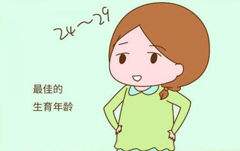 �D������������g