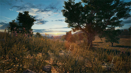 �D���^������