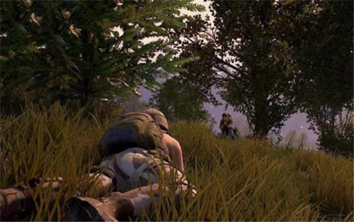 �D���^������