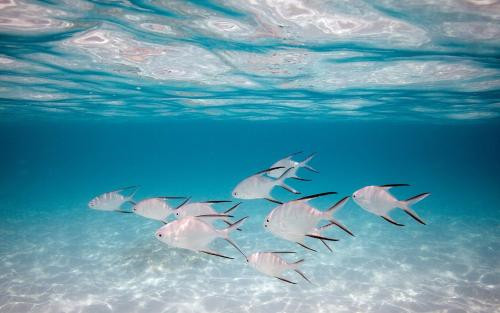 �D���{��