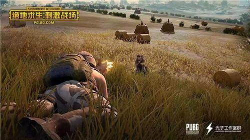 �D���^�������̼�����