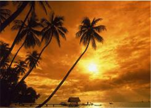 Centos6.4��64���g���bMYSQL5.6.12�̳�