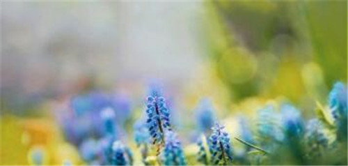 Centos6.4��64���g���bMYSQL5.6.12�̳�