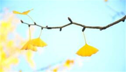 Linux cron����mysqlʧ�������a���}���̳�