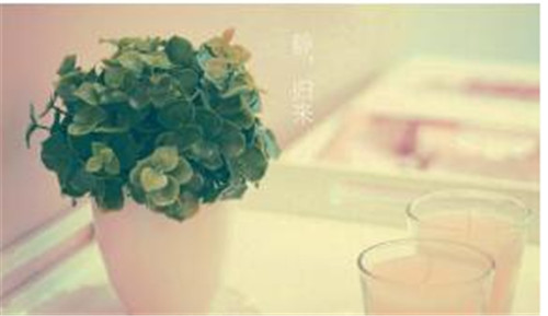 �v��linux��mysal��ݵĎ׷N�����̳�