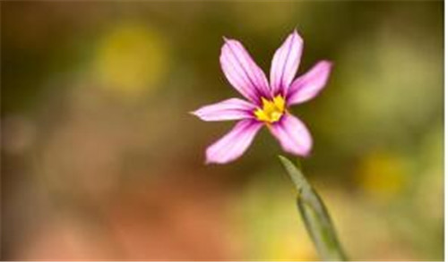 �Pӛ����X�\��̫�����Qʲô����܉��Q