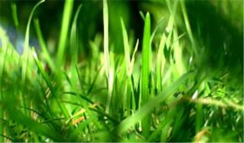 ��Qwin10 Edge�g�[����ʾ��&ldquo;��⣡�҂����B���ƺ�����&rdquo;�̳�