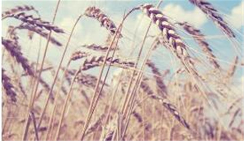 win10���λ��߽���Ctrl+Esc�M���I�̳�