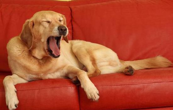 �D�������Z��