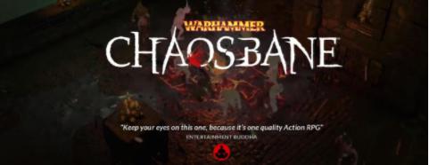 �D�����N