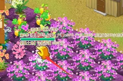 QQ�r����켰qq�r�����͵�˽�B