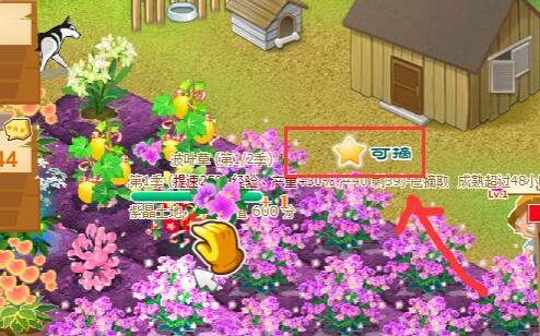 QQ�r����켰qq�r�����͵�˽�B