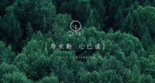 �DƬ���ֹ����ڈDƬ�ϼ����ֵ�ܛ��ʹ��