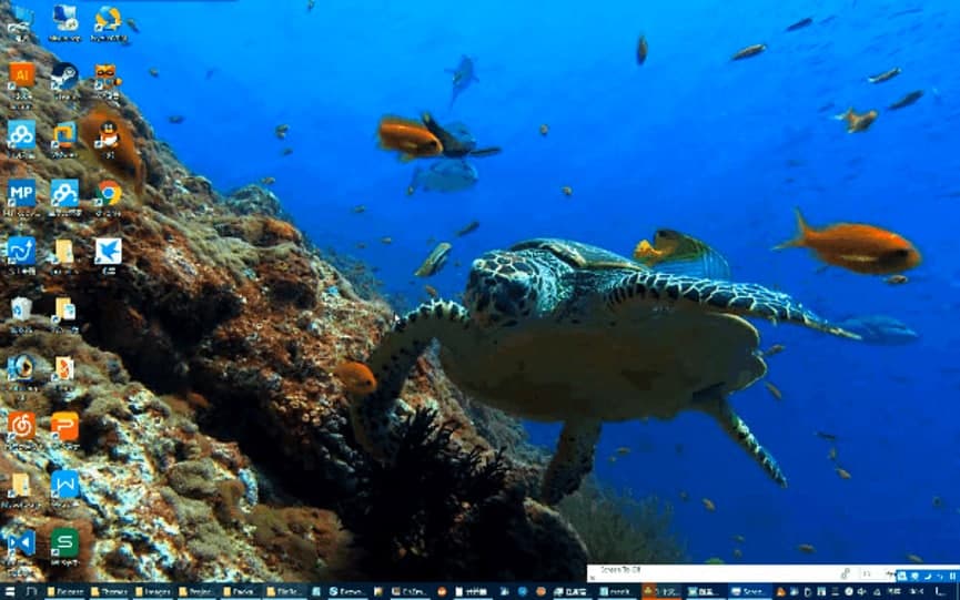  ���~������X�����M���d��������ɫԔ����B