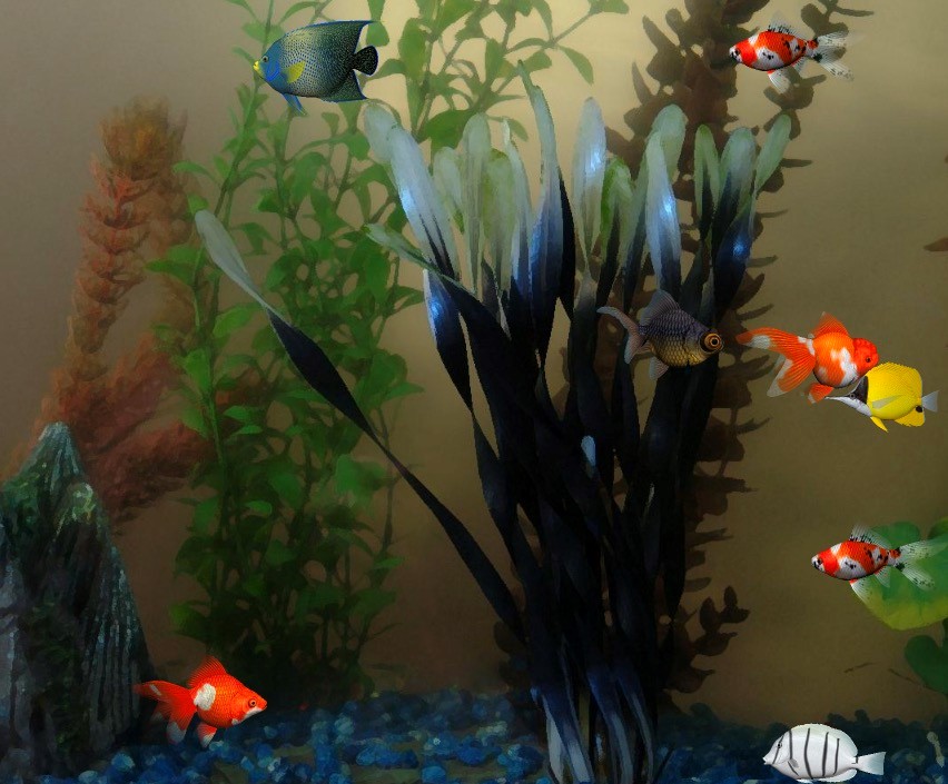  ���~������X�����M���d��������ɫԔ����B