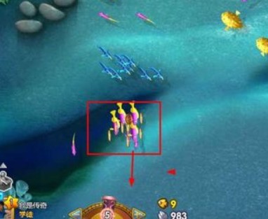 ���~�����o�������Խ�B