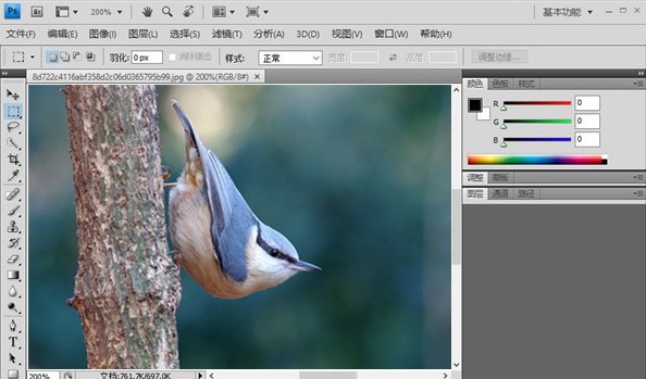 Adobe Photoshop CS4���Ñ�ʹ��ָ��
