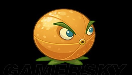 ֲ����ʬ2��ֲ��D�b��B