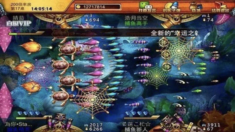 qq���~���