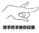 ip��ַ���Q���ͶƱ ���V����εēQIP����