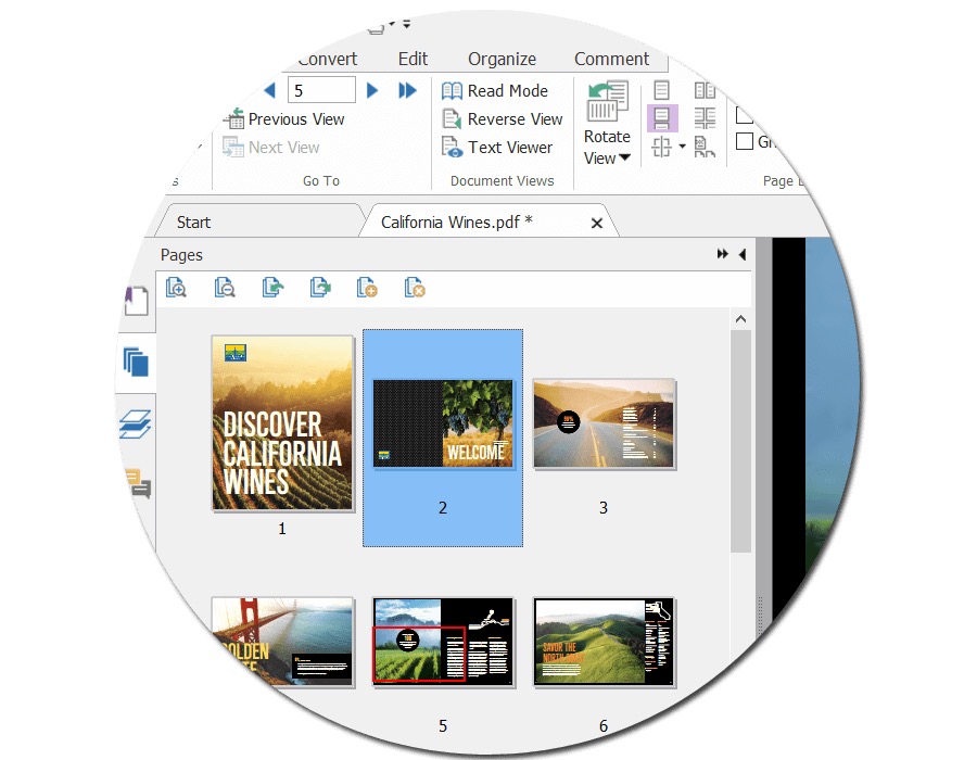 ��꿾�݋��