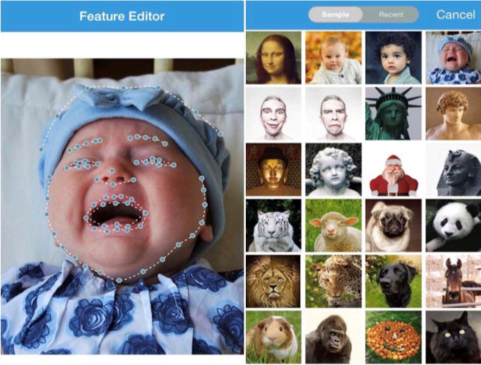 2020�𱬵ēQĘapp����Щ��